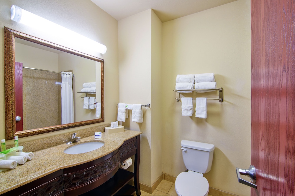 Holiday Inn Express Hotel & Suites Terrell by IHG - photo 21