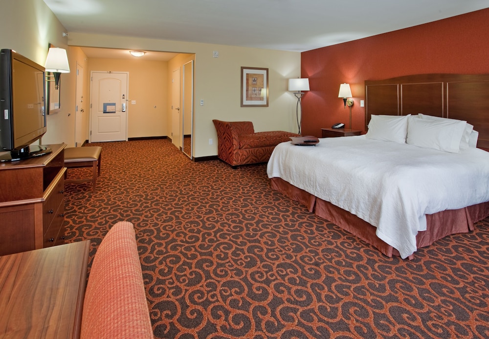 Hampton Inn & Suites Dickinson - photo 6
