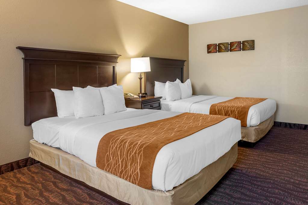 Comfort Inn at Thousand Hills - photo 28