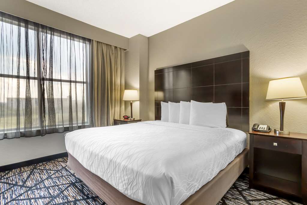 Best Western Plus Hobby Airport Inn & Suites - photo 8