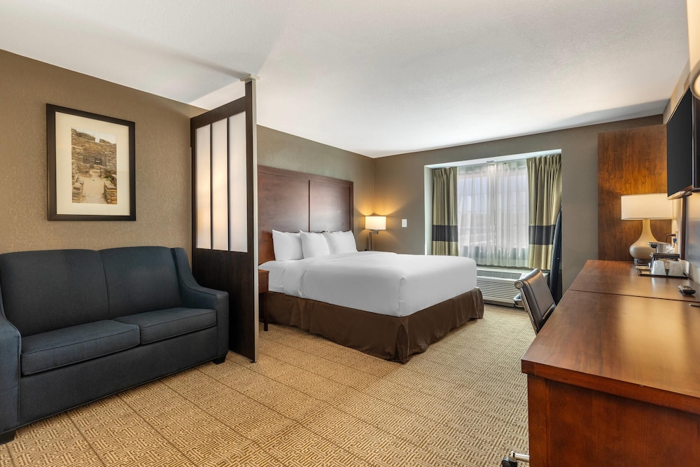 Comfort Inn & Suites Aztec Farmington Area - photo 36