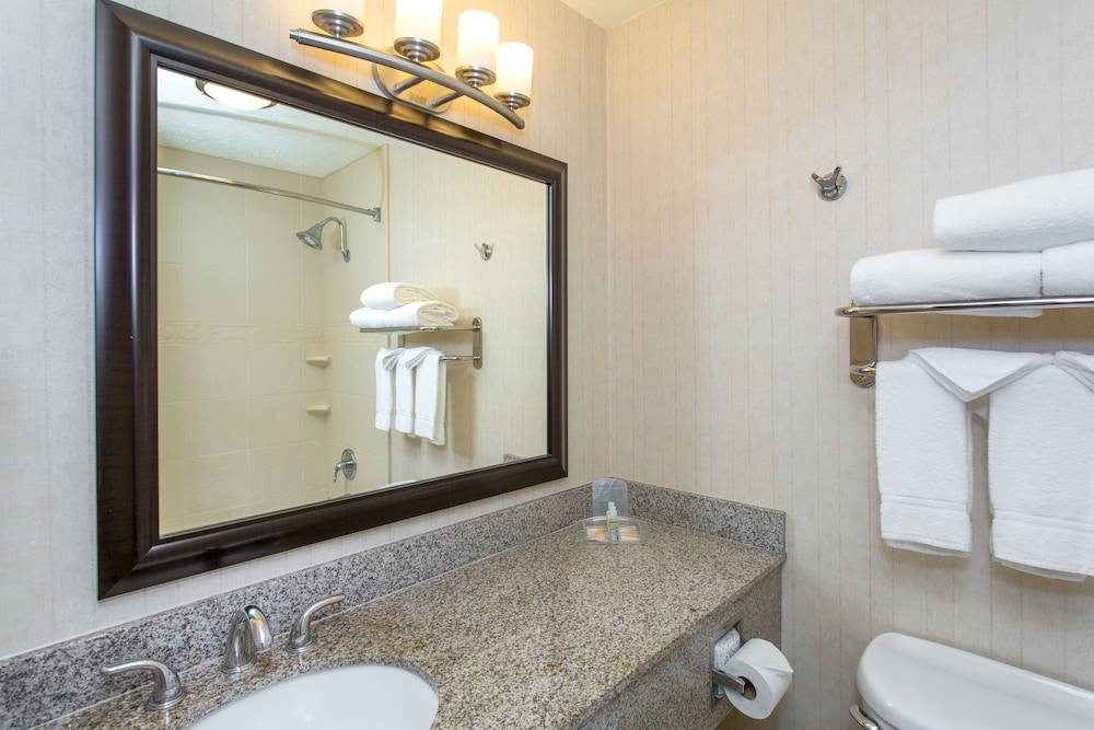 Holiday Inn Bloomington University Area by IHG - photo 16