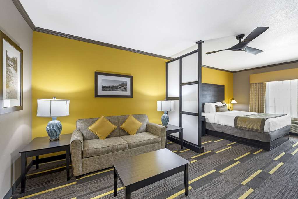 Best Western Plus Emerald Inn & Suites - photo 15