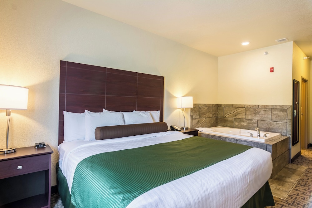 Cobblestone Hotel & Suites Erie - photo 10