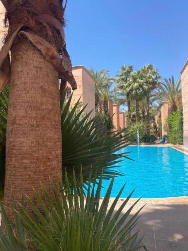 Riad jmiaa — 4-Star Luxury Hotel in Marrakesh, Morocco