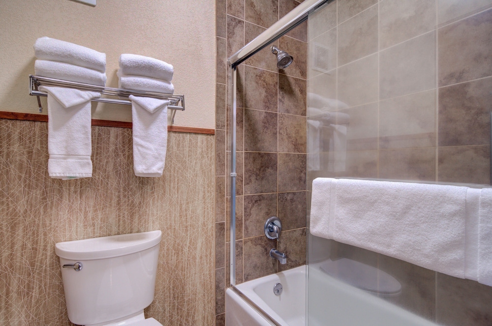 Holiday Inn West Yellowstone by IHG. - photo 95
