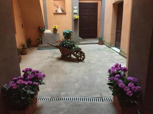 Casa di Emanuela — Spello — photo 3