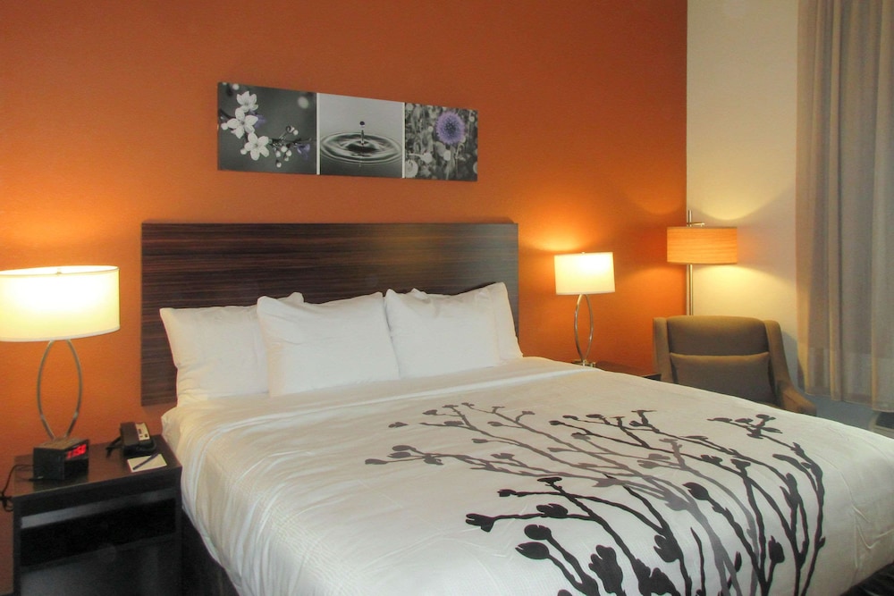 Sleep Inn & Suites Oregon Madison - photo 7