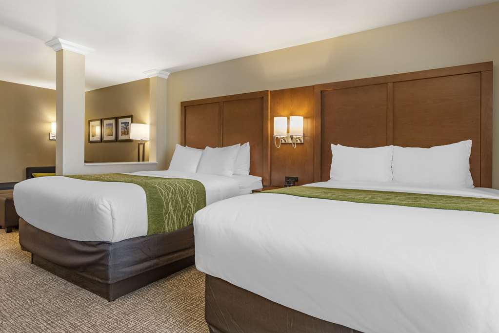 Comfort Suites Albuquerque Airport - photo 16