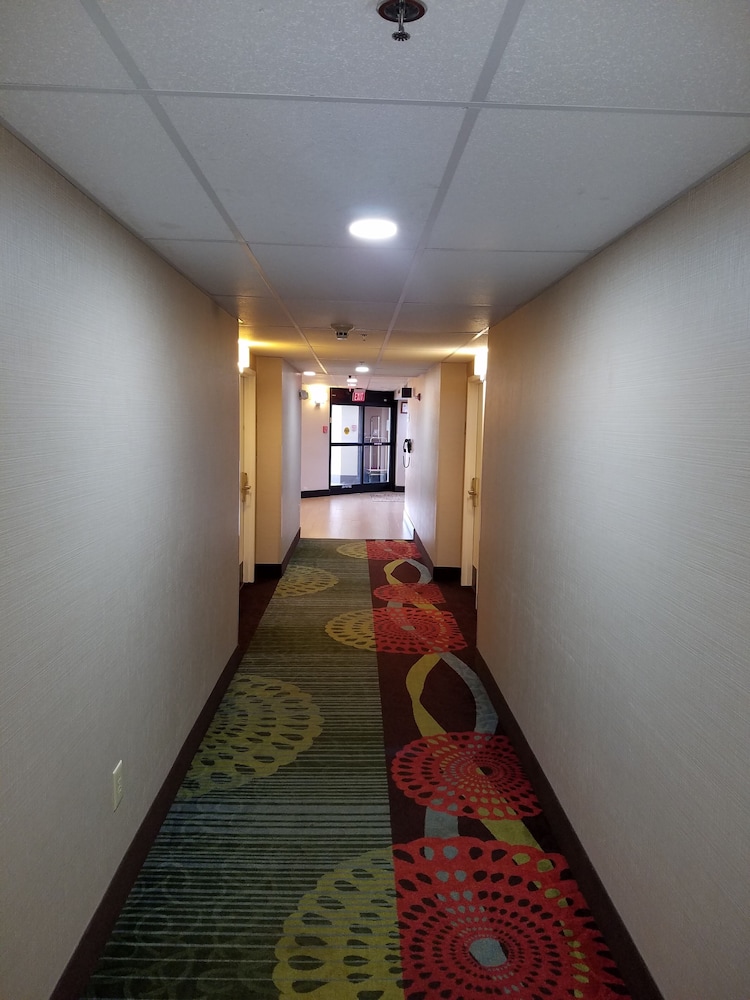 Comfort Inn North of Asheville - photo 62