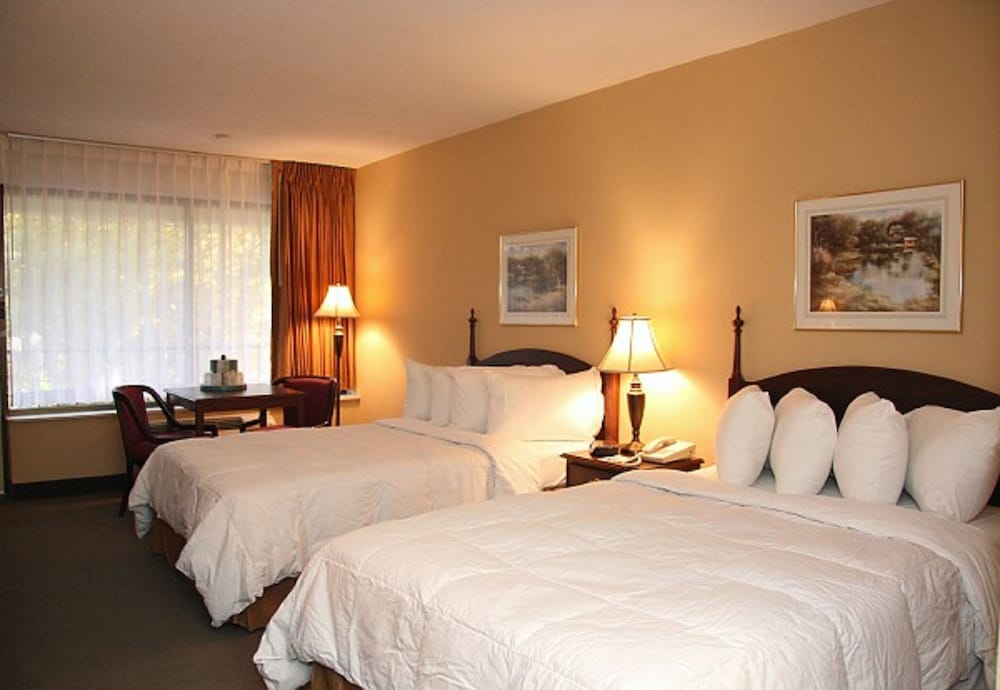 Mansion View Inn and Suite - photo 22