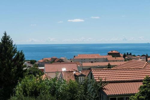 Apartment Mir Studio Apartment with Garden View