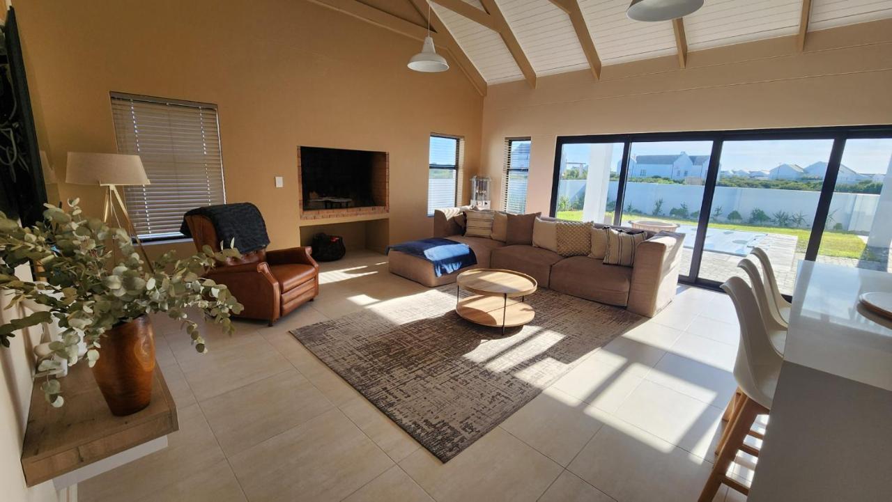 Doves nest in Unknown City, South Africa