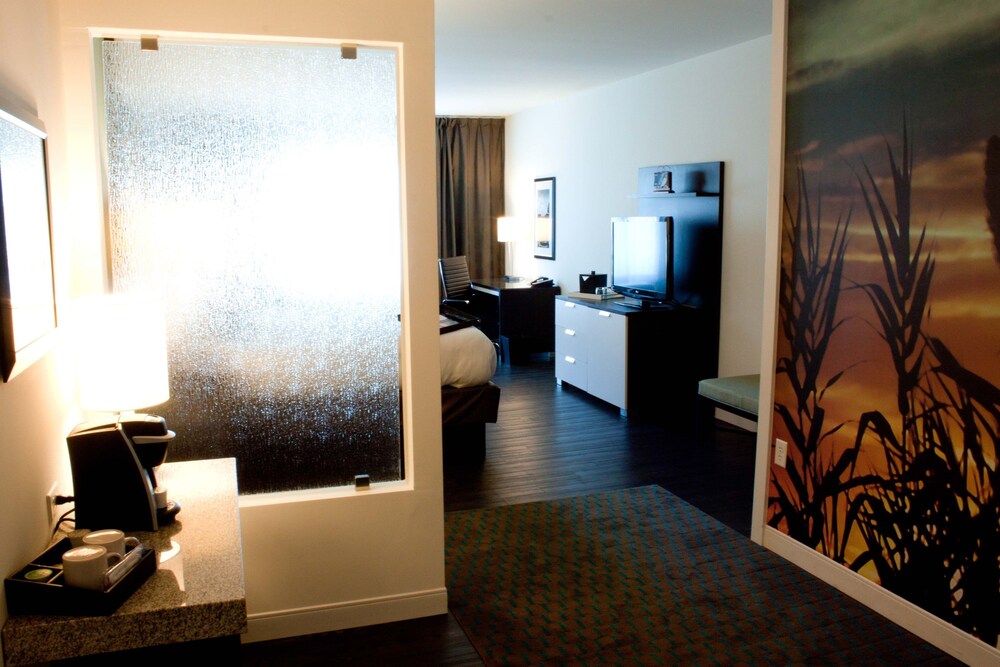 Hotel Indigo Waco Baylor By Ihg - photo 32