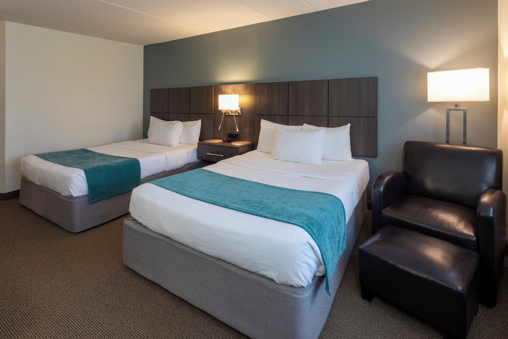 Paynesville Inn And Suites - photo 14