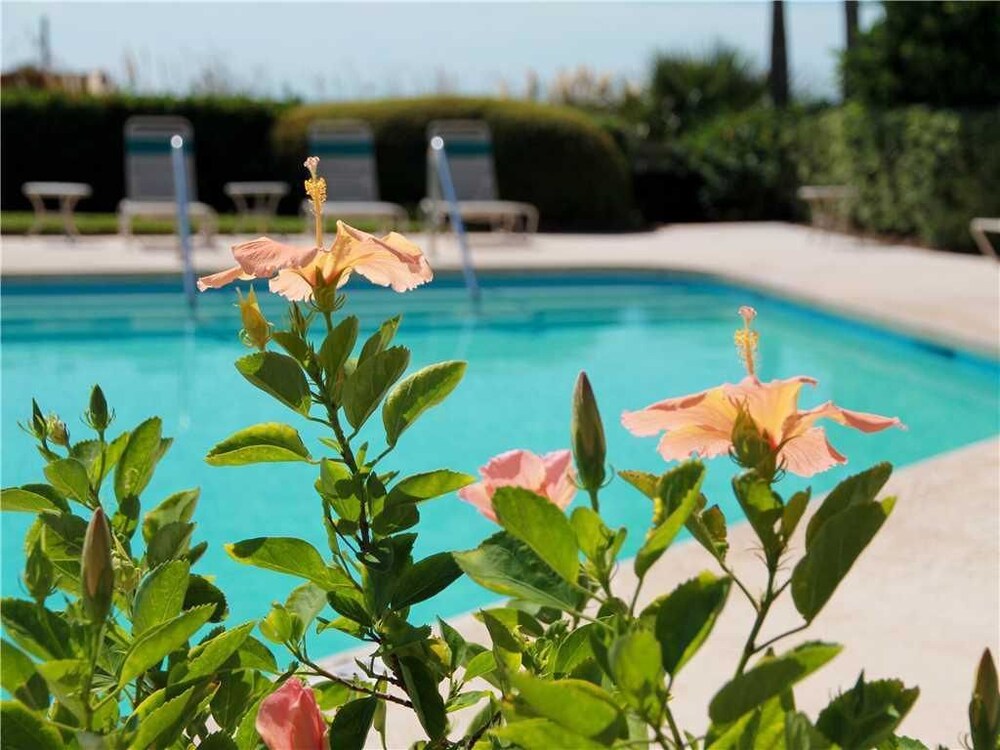 Seagrove 6C by Wild Dunes with Resort Amenities - photo 19