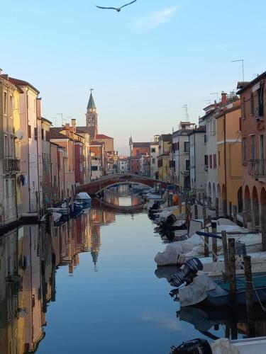Piccola Venezia in Chioggia, Italy