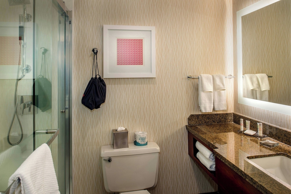 Marriott St. Louis Airport - photo 47