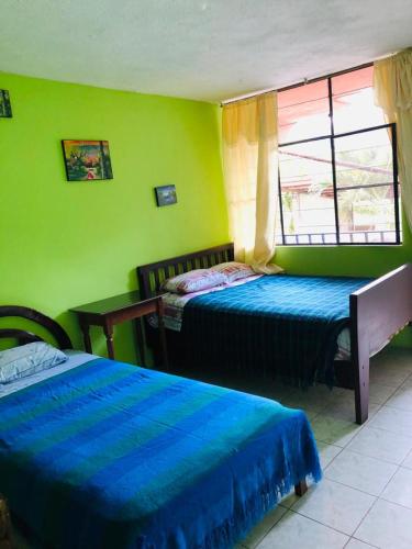 Zumag Sisa in Tena, Ecuador