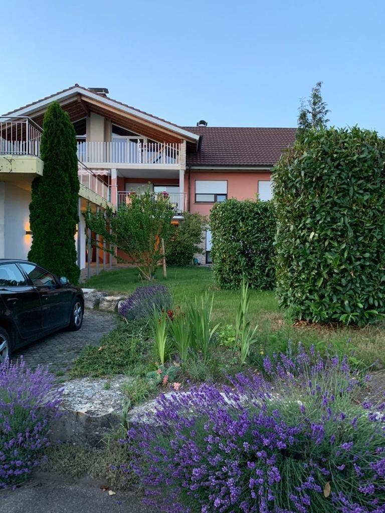Ferienwohnungen im Hegau — 4-Star Luxury Hotel in Singen, Germany