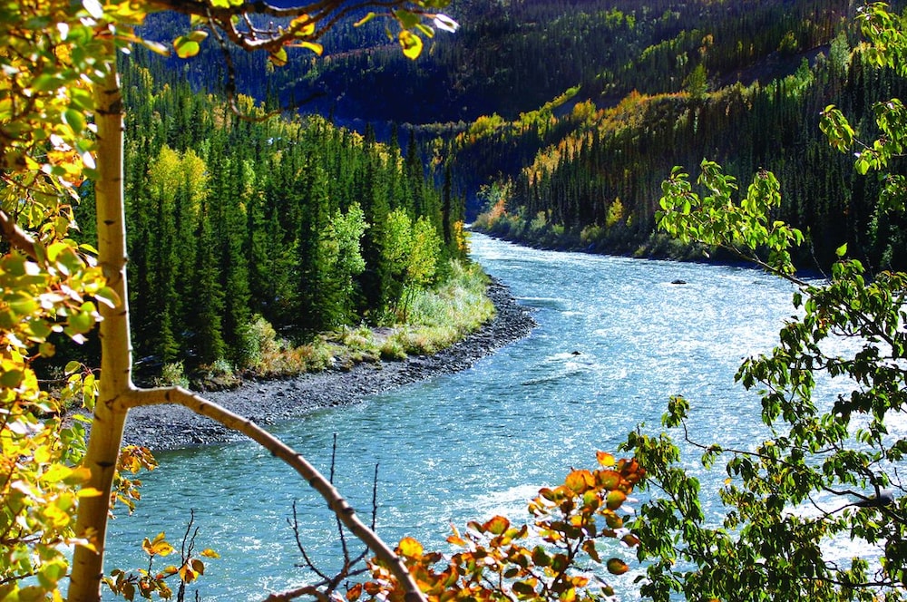 Denali Grizzly Bear Resort - photo 31