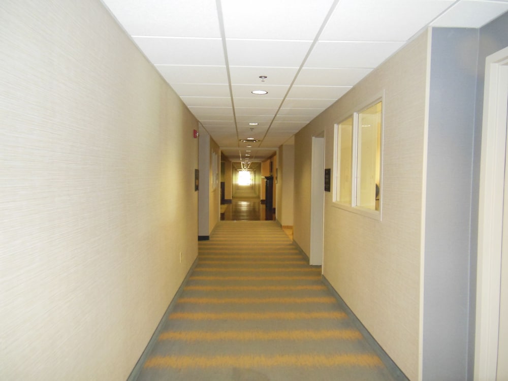 Homewood Suites by Hilton Louisville East - photo 67