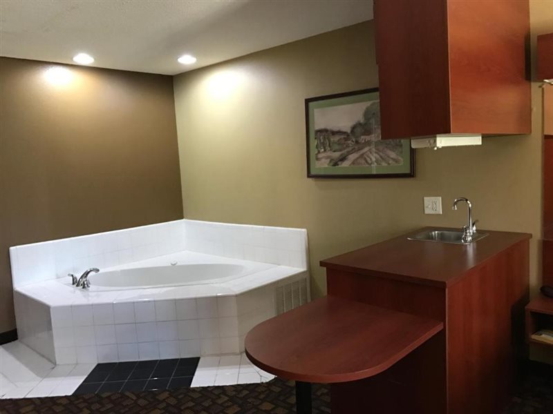 Microtel Inn & Suites by Wyndham Lithonia Stone Mountain - photo 6