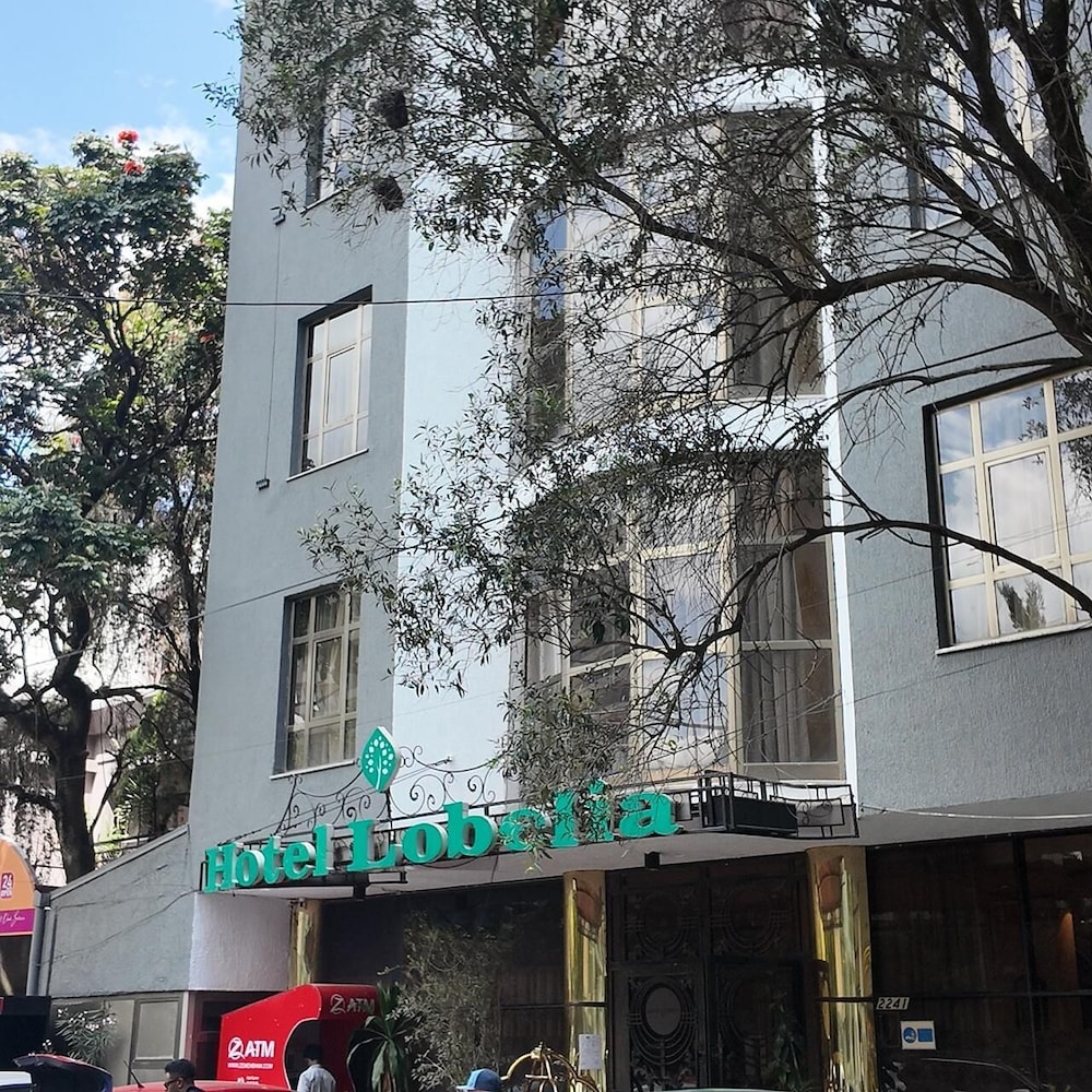 Hotel Lobelia — Addis Ababa — photo 2