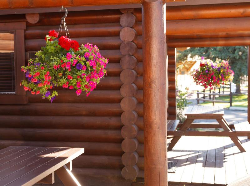 Elk Country Inn - photo 54