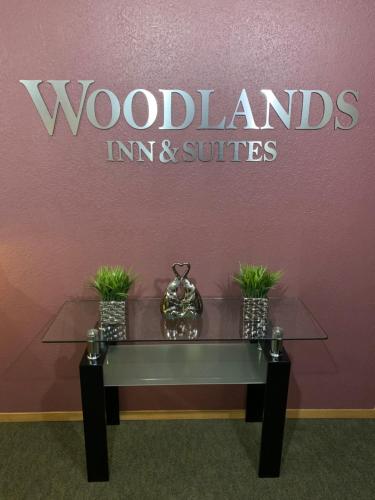 Woodlands Inn & Suites - photo 14