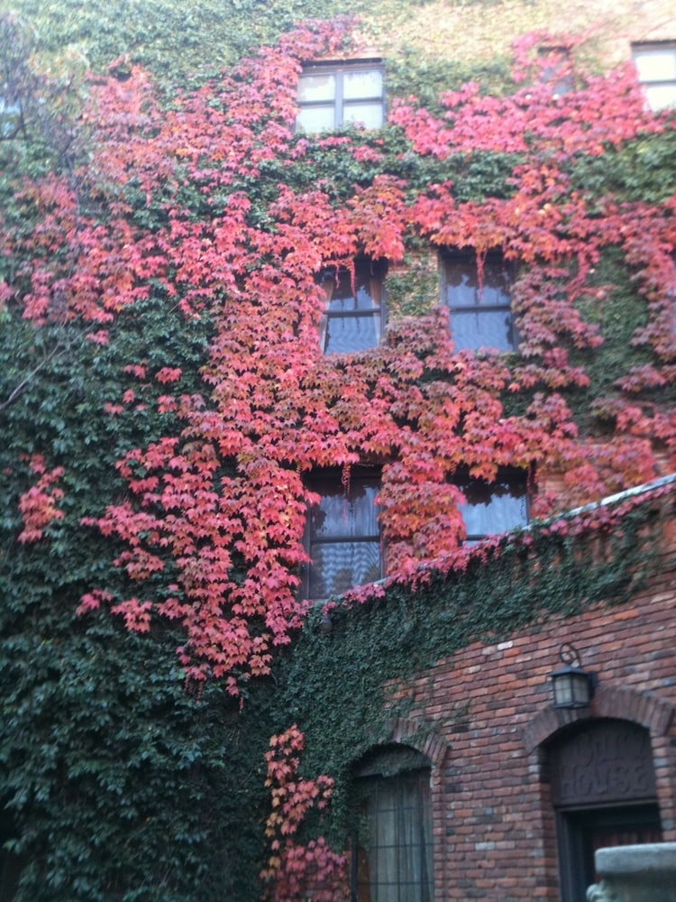 Historic Cary House Hotel - photo 31