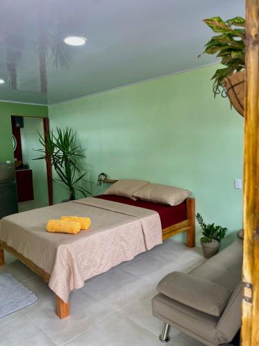 Pura Vida Estudio with Pool in Puerto Jimenez, Costa Rica