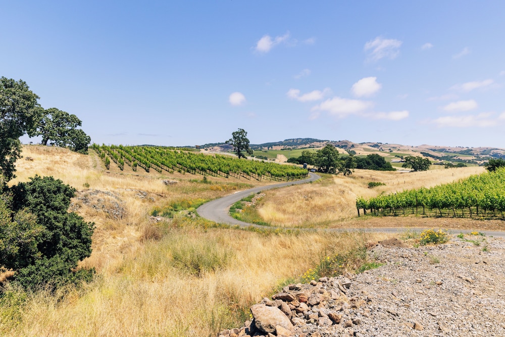 The Meritage Resort and Spa - photo 65
