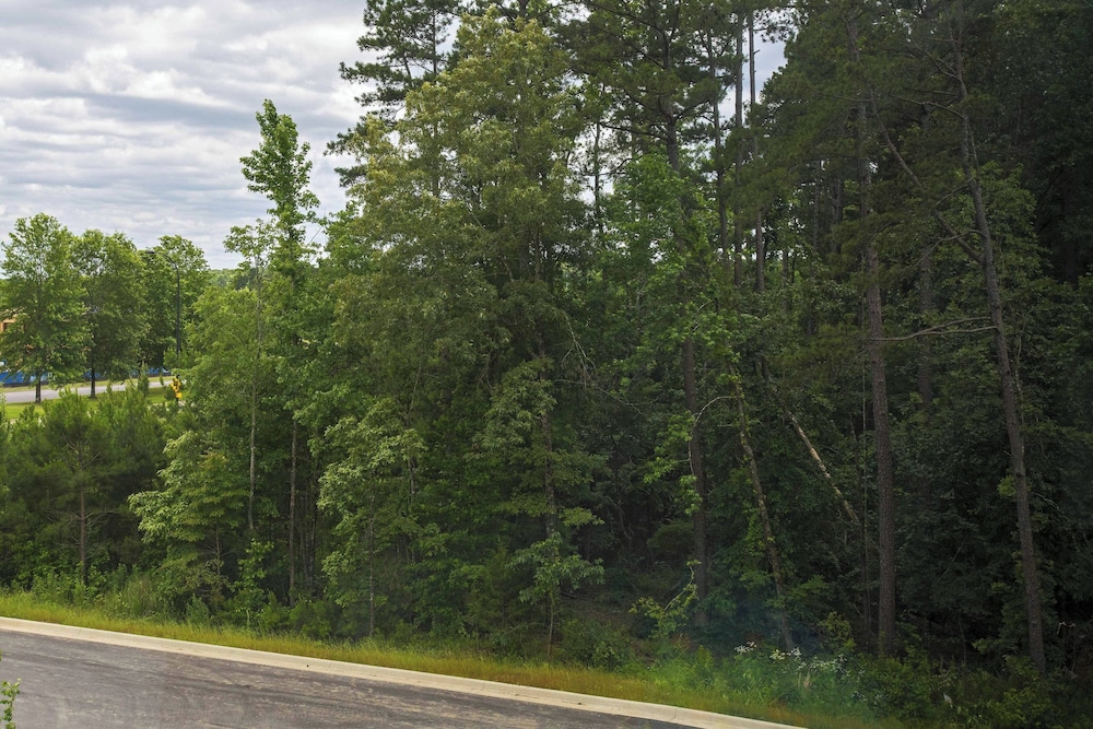 Aloft Little Rock West - photo 4