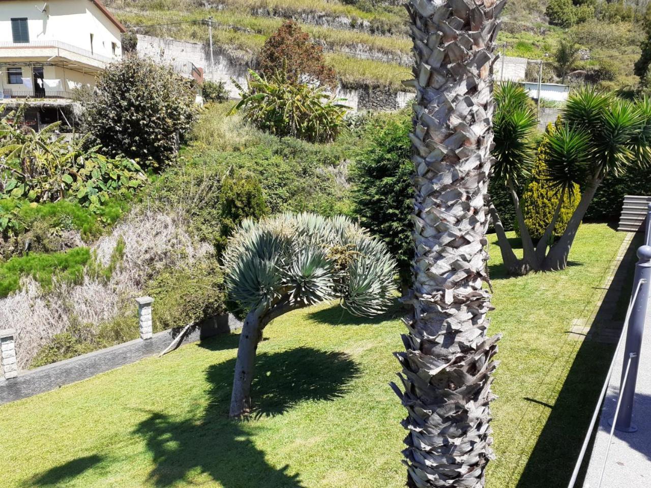 Quinta Do Brasil — Calheta — photo 4