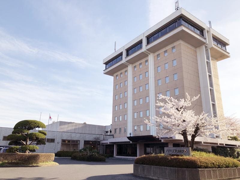 Hachinohe Plaza Hotel — hotel in Hachinohe