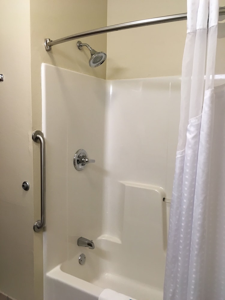 Holiday Inn Express Hotel & Suites Cadillac by IHG - photo 14
