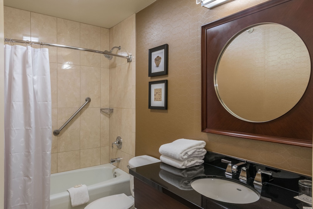 Sheraton Harrisburg Hershey Hotel - photo 20