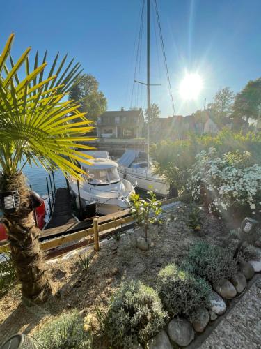 Port Ripaille Les Grebes 24 in Thonon-Les-Bains, France