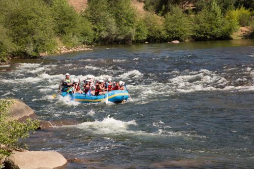 Ponderosa RV Resort - photo 3