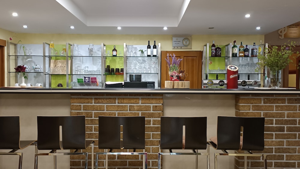 Hotel Vintíř — Hartmanice — photo 2