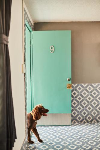 Carole Motel - photo 15