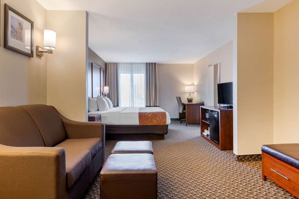 Comfort Suites South Haven near I 96 - photo 9