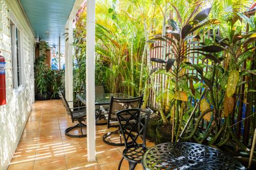 At Vera & Pinto's — 4-Star Luxury Hotel in Bocas Del Toro, Panama