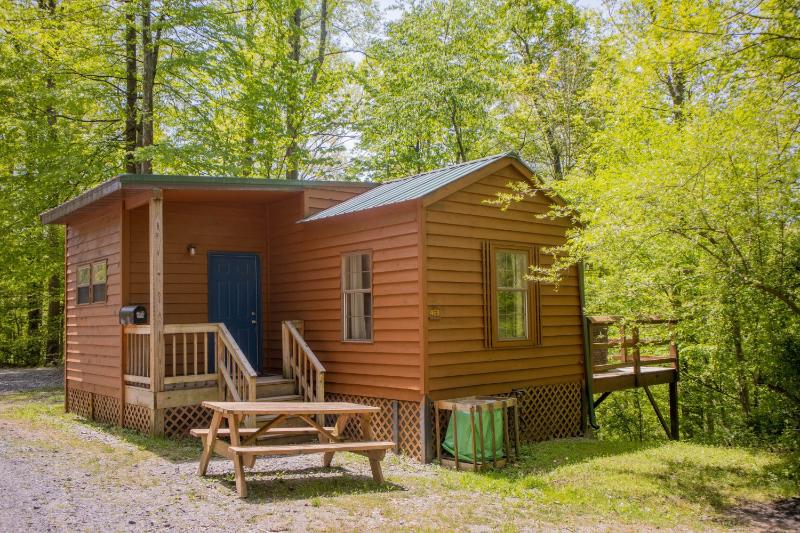 ACE Adventure Resort - photo 3