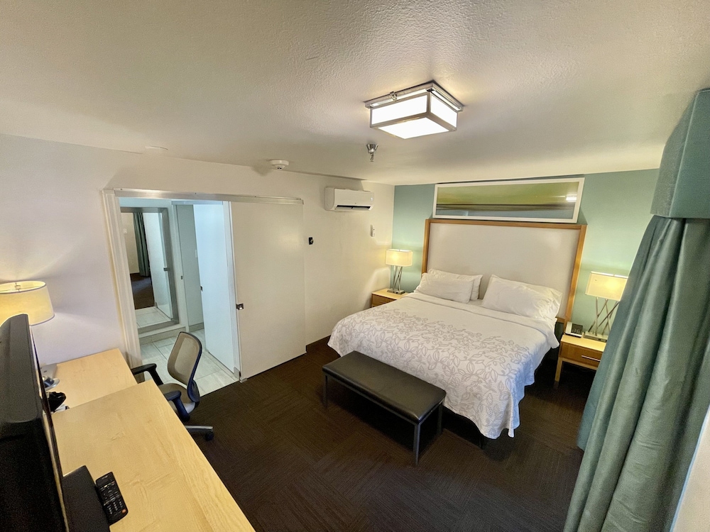 Red Roof Inn PLUS & Suites Tampa - photo 7
