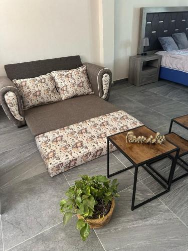 Casa Federico — Apan — photo 5