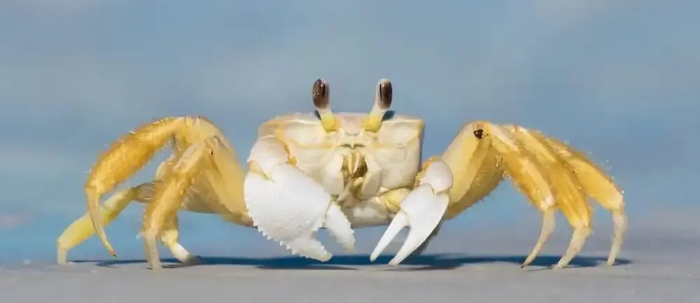 Guaruçá Pousada Apart Hotel in Conceicao Da Barra, Brasil