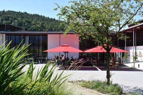 Bildungshaus Arbogast — hotel in Goetzis