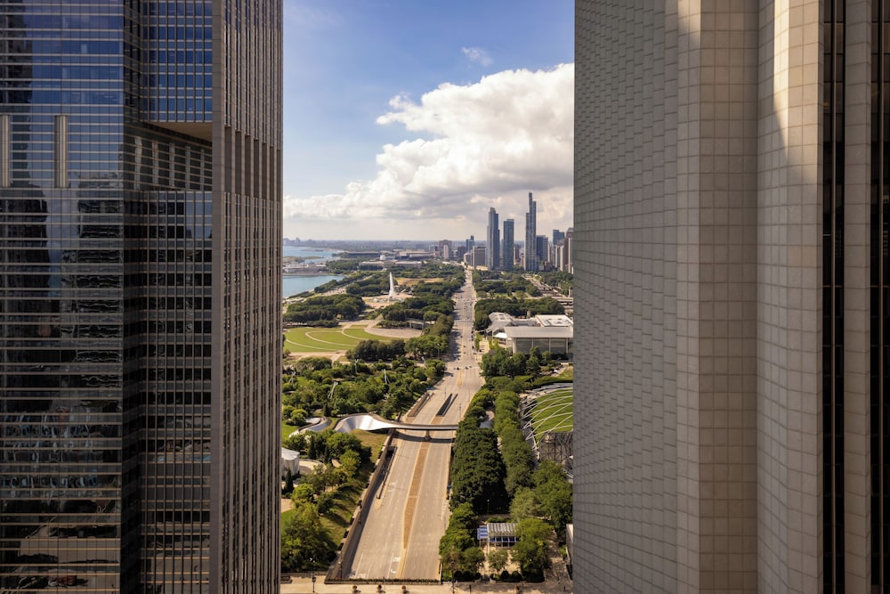 Fairmont Chicago at Millennium Park - photo 67